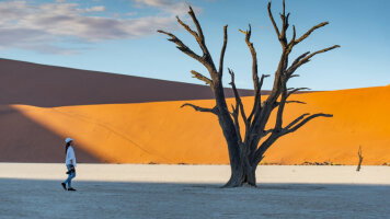 12 Day Namibia Highlights (Intrepid)
