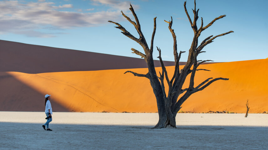 Namibia Highlights