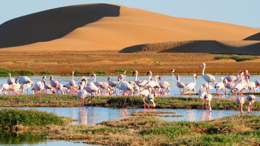 Namibia Highlights