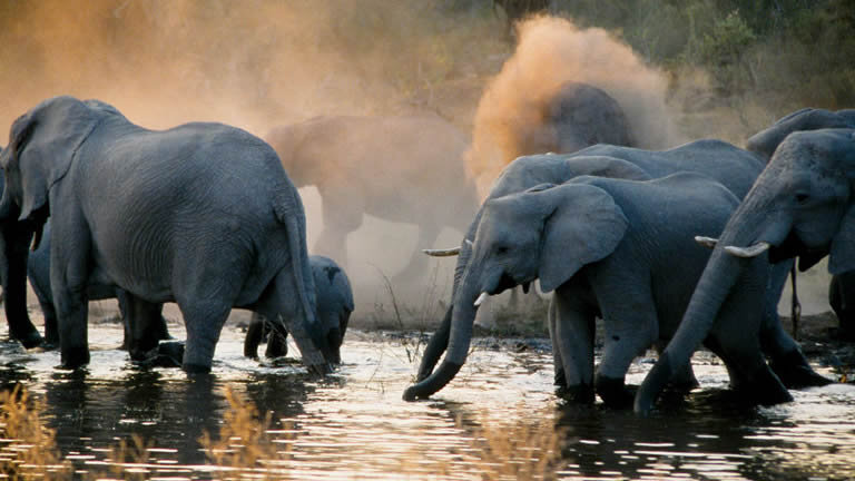 Botswana Highlights