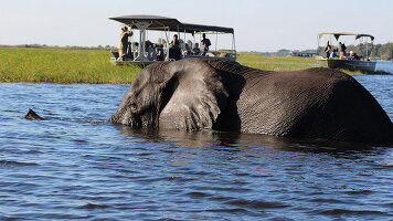 9 Day Essential Botswana (Intrepid)