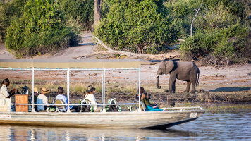 10 Day Botswana Family Safari with Teenagers (Intrepid)