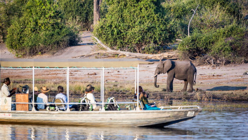 Botswana Family Safari Comfort