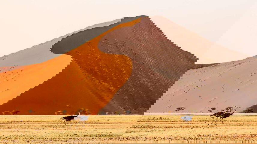 Cape Town to Zanzibar