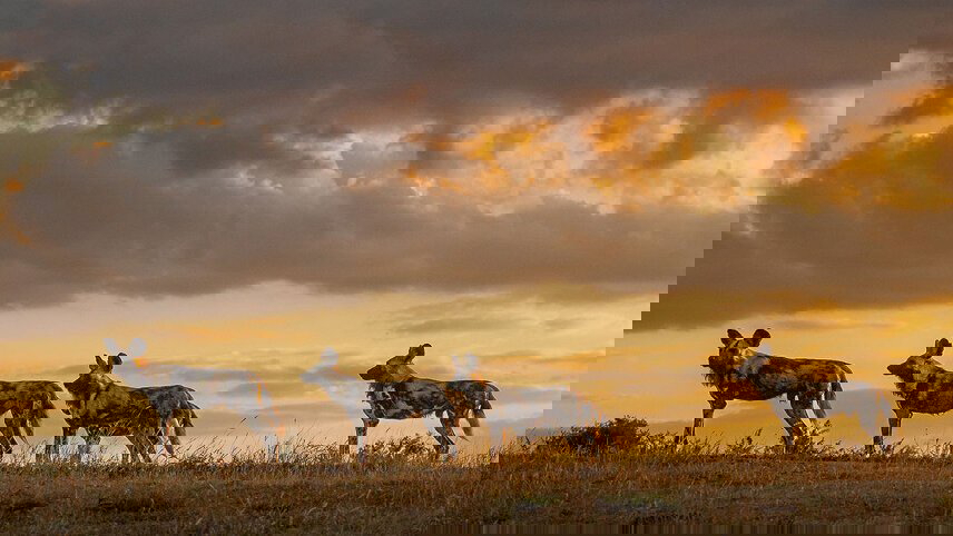 Southern Africa Adventure