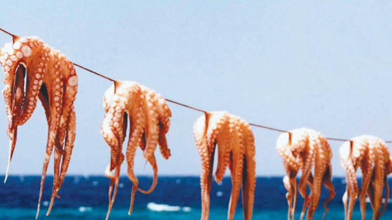 Western Balkans Uncovered