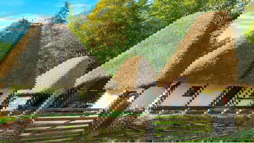 Premium Belgrade to Bucharest