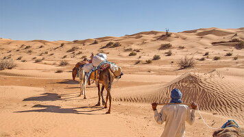 12 Day Tunisia Expedition (Intrepid)