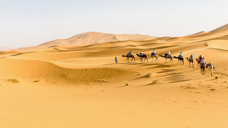 Premium Morocco Explorer