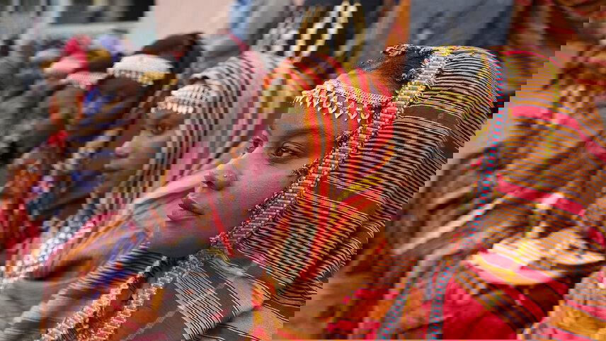 Comoros: Wildlife Expedition