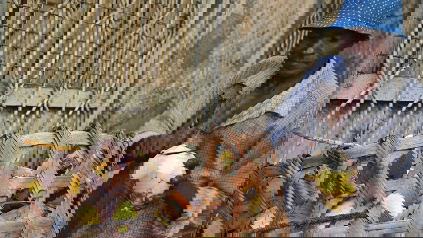 Zanzibar Beach Break