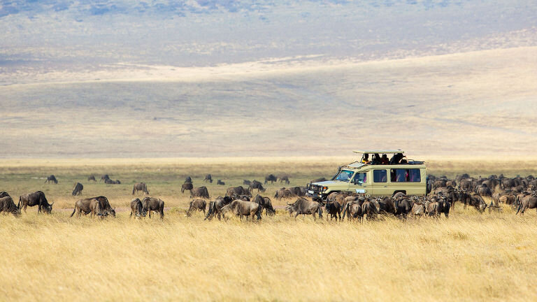 Tanzania Family Safari