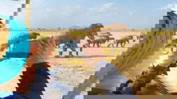 16 Day Kenya and Tanzania Family Safari (Intrepid)