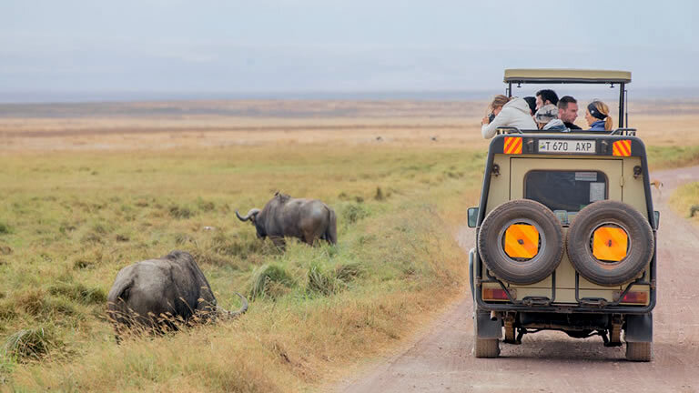 Premium Kenya & Tanzania