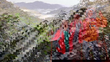 13 Day Premium Uganda, Rwanda & Kenya (Intrepid)