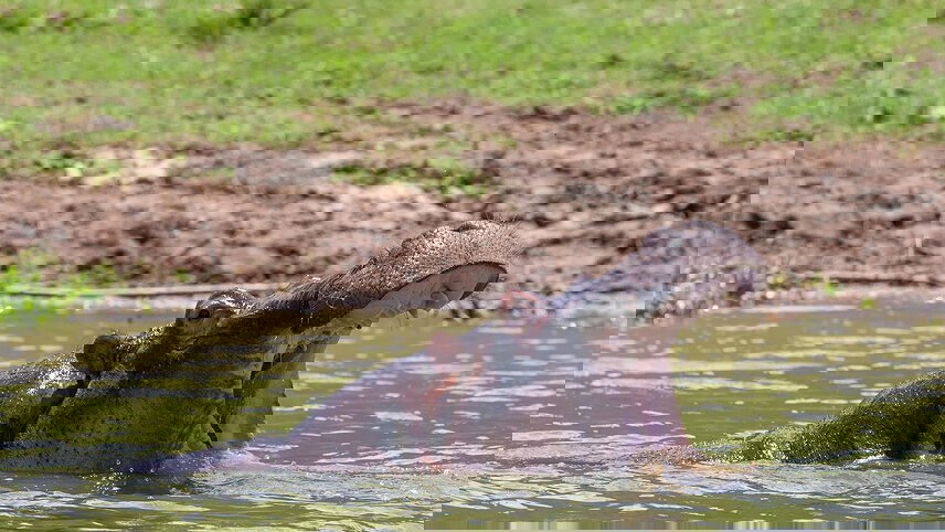 Premium East Africa in Depth