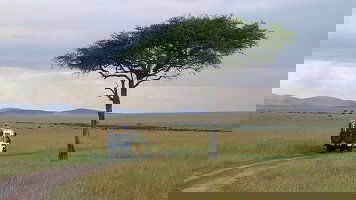 15 Day Premium Kenya & Southern Africa Highlights (Intrepid)