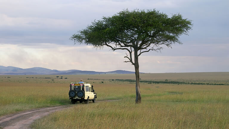 Premium Kenya & Southern Africa Highlights