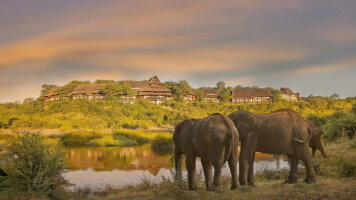 15 Day Premium Kenya & Southern Africa Highlights (Intrepid)