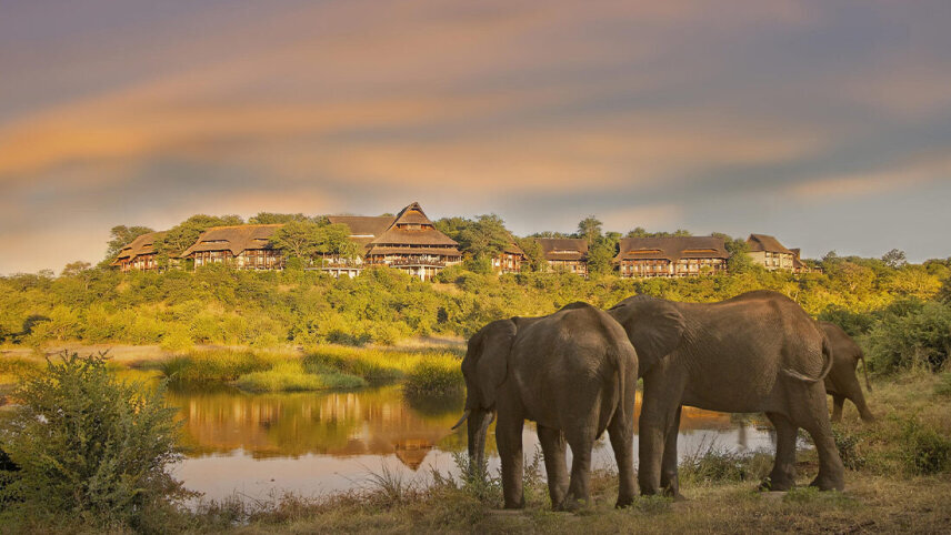 Premium Kenya & Southern Africa Highlights