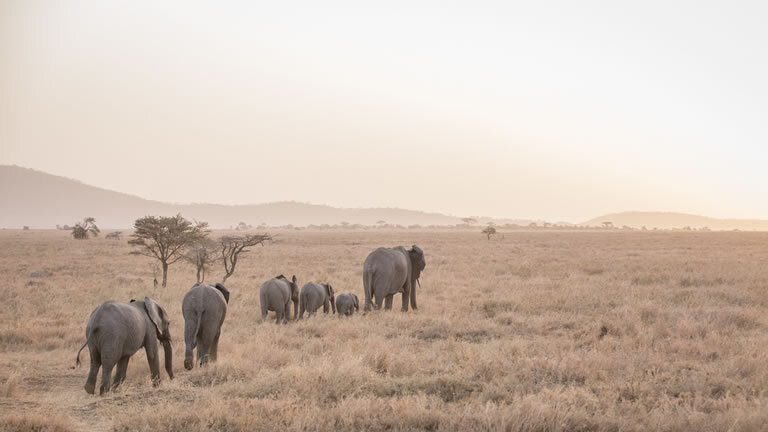 East Africa Highlights