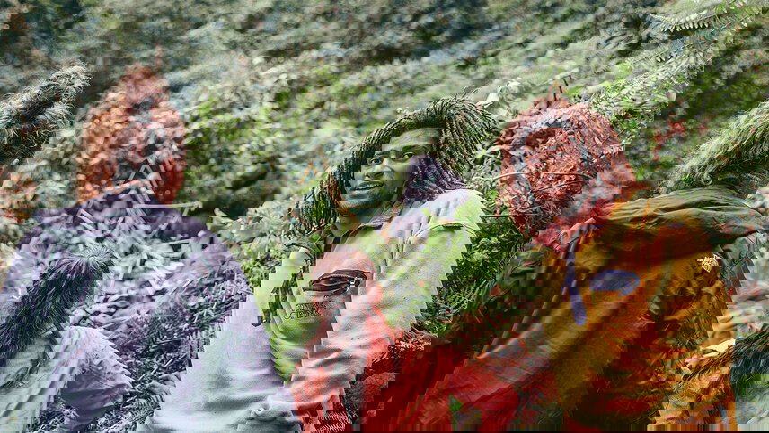 Remarkable Rwanda & Gorillas of Uganda