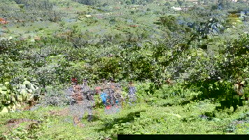 9 Day Remarkable Rwanda & Gorillas of Uganda (Intrepid)