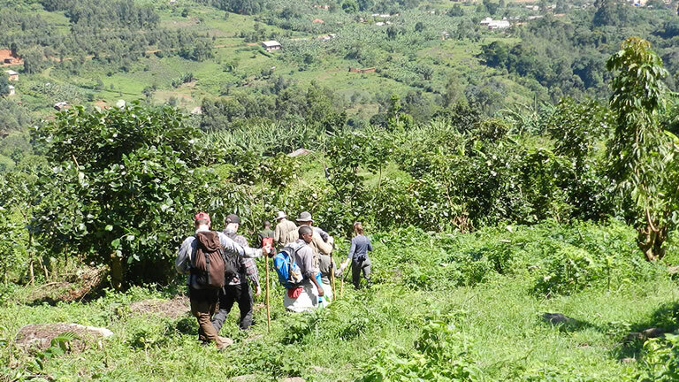 Remarkable Rwanda & Gorillas of Uganda