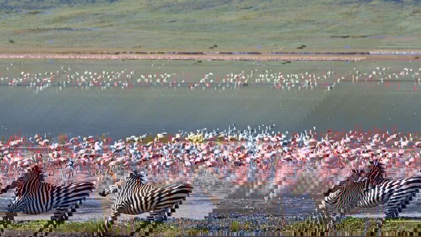 Real East Africa & Zanzibar