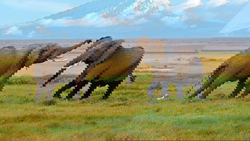 Safari to Kilimanjaro - Machame Route