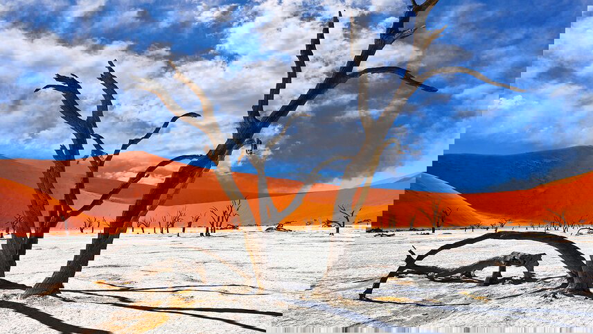 Zanzibar to Cape Town