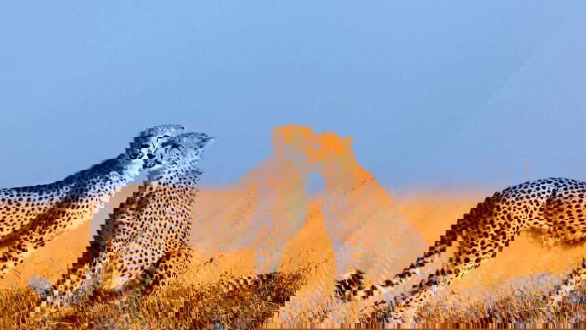 Africa Encompassed Southbound