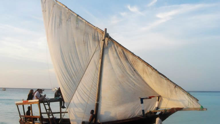 Vic Falls to Gorillas