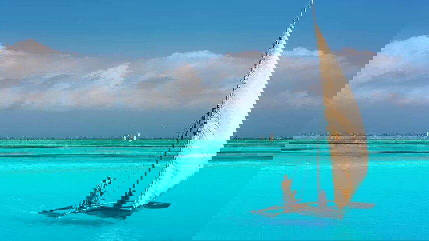 Gorillas to Vic Falls