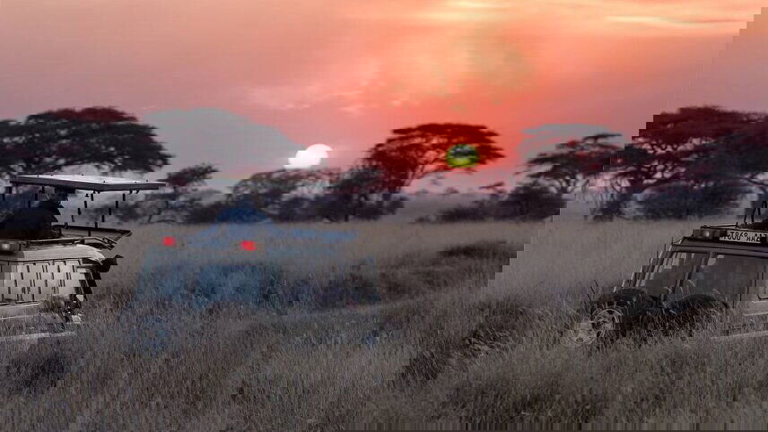 Gorillas to Vic Falls