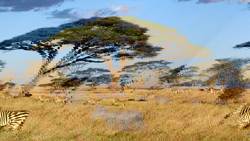 Nairobi to Stone Town