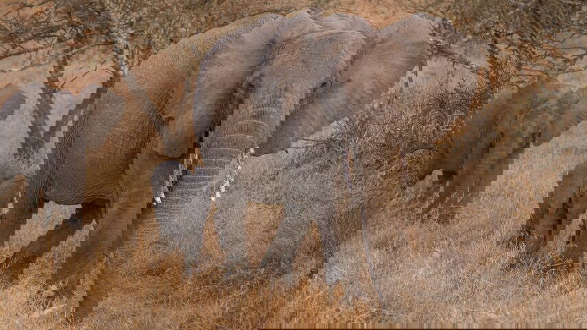 Nairobi to Stone Town