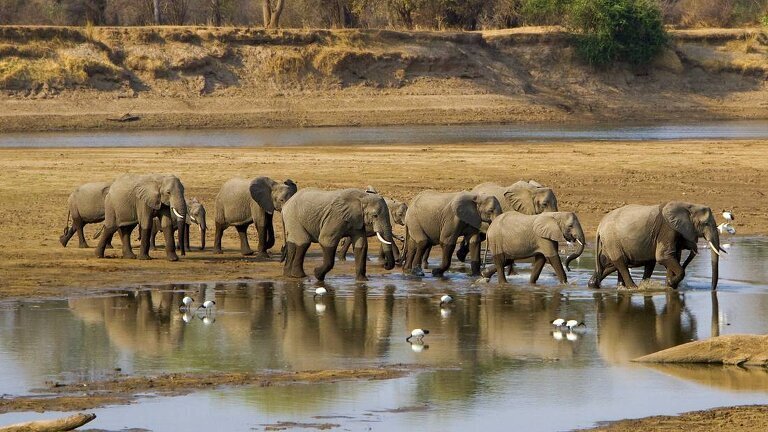 Stone Town to Vic Falls