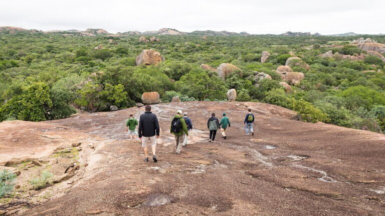 Vic Falls to Stone Town