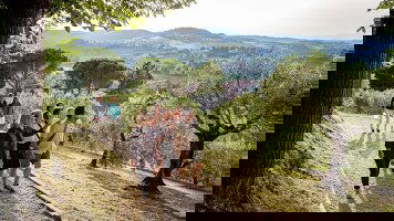 15 Day Premium Italy in Depth (Intrepid)