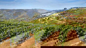 8 Day Premium Portugal (Intrepid)