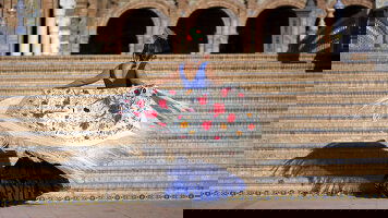 11 Day Premium Spain (Intrepid)