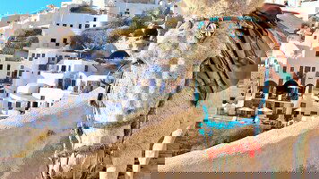 8 Day Athens to Santorini (Intrepid)