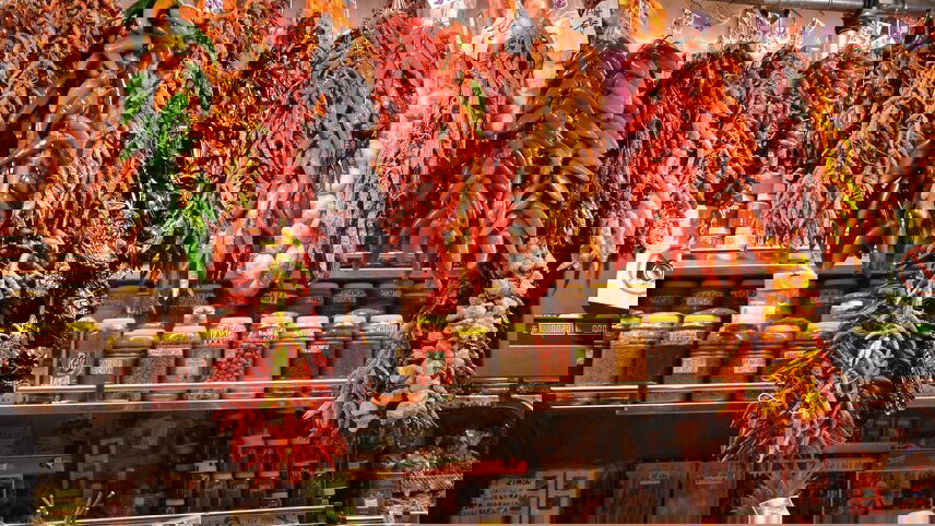 North Spain Discovery