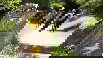 10 Day Portuguese Camino (Intrepid)