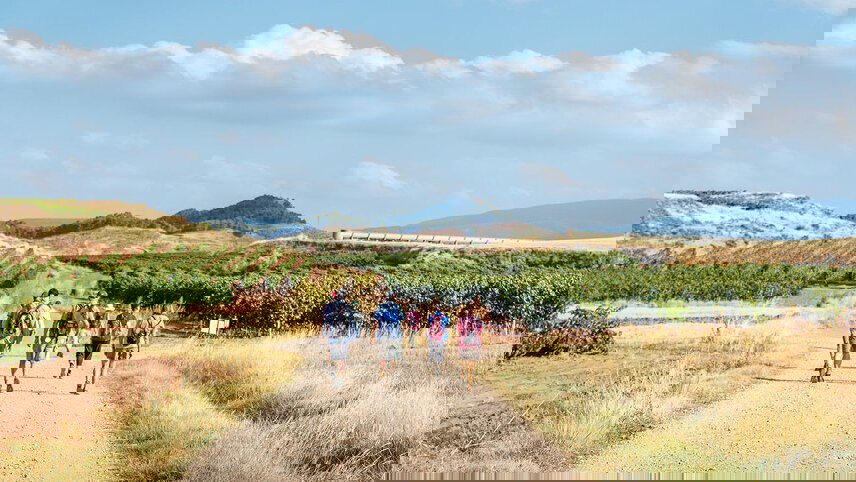 Walk the Camino de Santiago