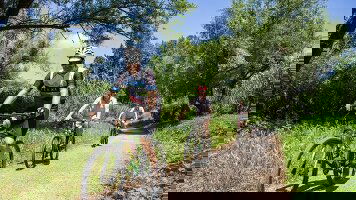 8 Day Cycle Prague to Vienna (Intrepid)