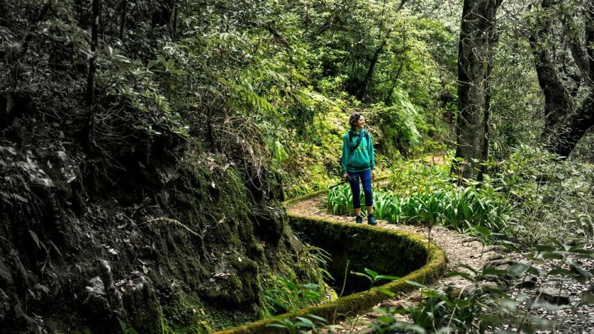 Premium Walking & Hiking in Madeira