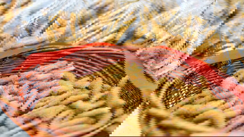 Greece Real Food Adventure