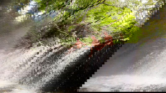 Small Groups, Authentic Experiences